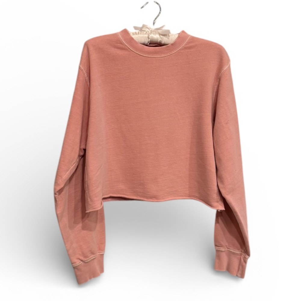 John Galt / Brandy Melville Pale Pink Cropped Sweatshirt